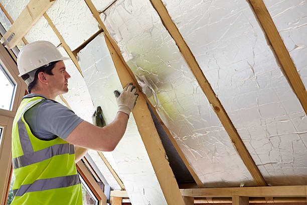 Best Eco-Friendly Insulation Solutions  in Eerlin, ND